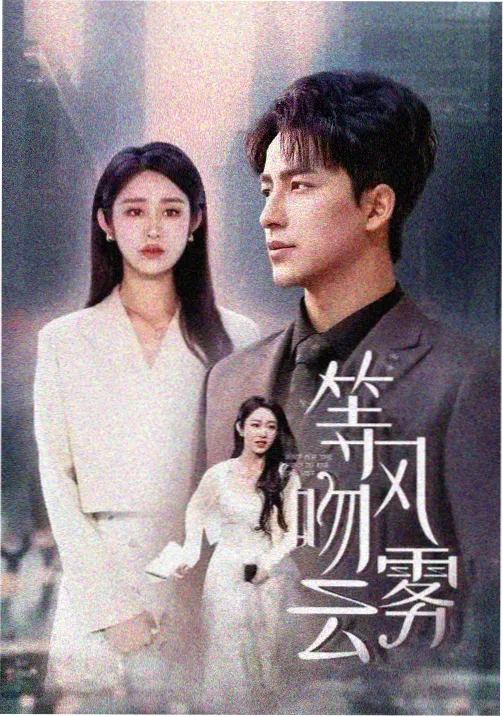 迷雾追踪剧照